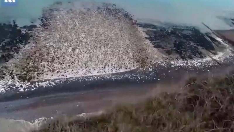 Жігіт парашютпен құздан секірді: бұл оның өміріндегі соңғы сәті болуы мүмкін