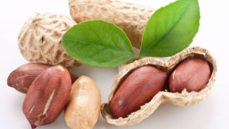 Жер жаңғақтың жанға жайлы қасиеттері