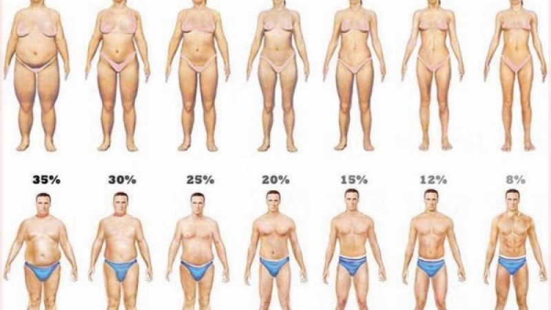 Арықтау барысында ең керек кеңестер