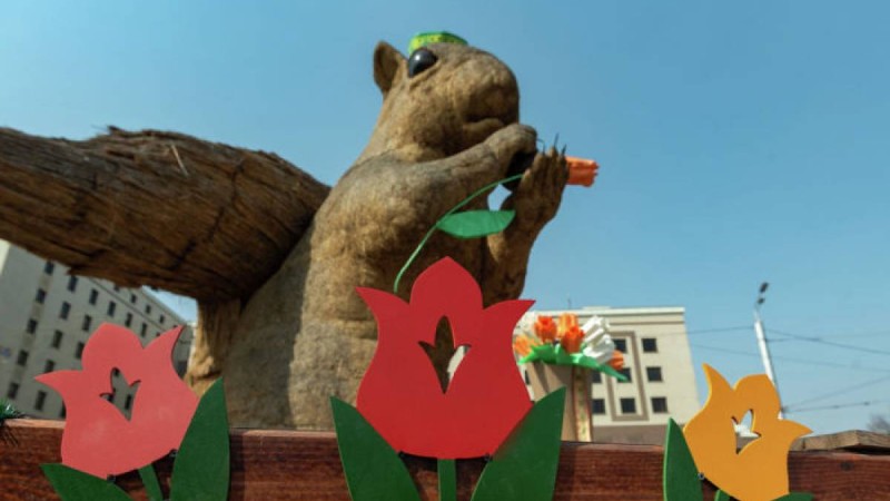 Алматылық Тиін әлеуметтік желіде пост "жазды"