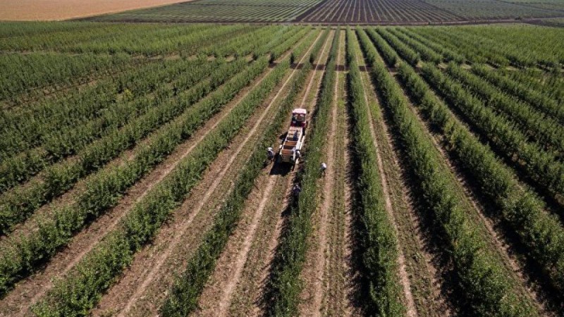 Ұлттық кеңес жер мәселесін талқылайды – үкімет