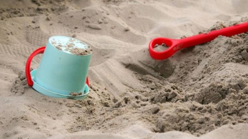 Ит аулада ойнап жүрген балаларды құтқарды