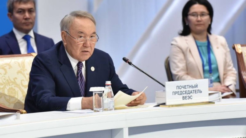 Назарбаев ұйымға пайдасын тигізетінін айтты