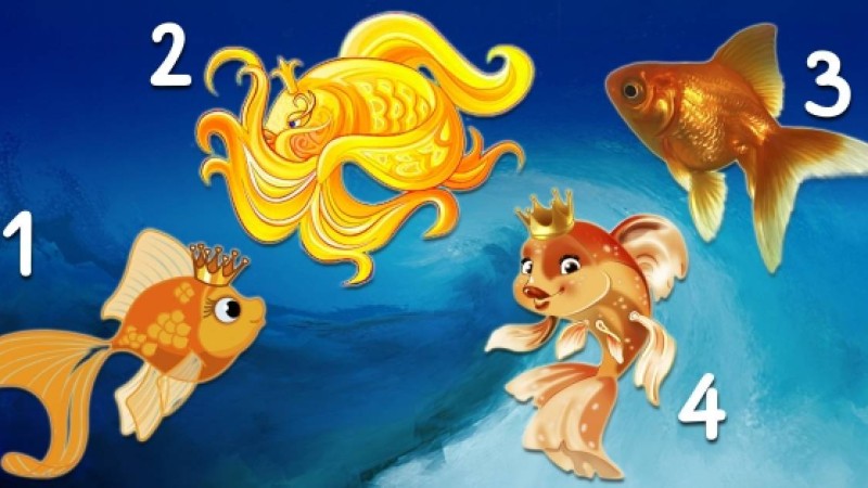 Психологиялық тест: Алтын балықтың бірін таңдап, өзіңіз туралы сыр біліңіз