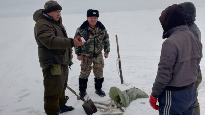 Алматы облысында заңсыз балық тасымалдағандар ұсталды