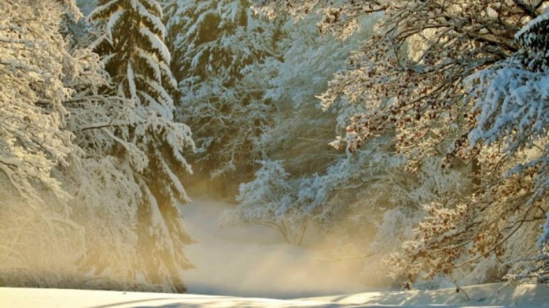 14:14Еліміздің аумағына аномальды жылудан кейін қайтадан суық келеді