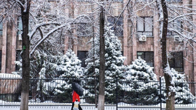 Ауа райы болжамы: 25 ақпан