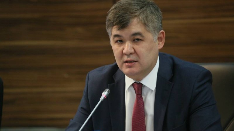 Денсаулық сақтау министрі жүкті әйелдерге төленетін 425 мың теңге туралы айтты - Қазақстан жаңалықтары