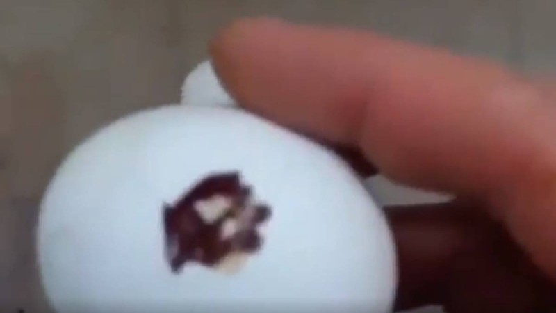 “Қытайдан келген гельді жұмыртқалардың” қалай жасалатыны белгілі болды (видео)