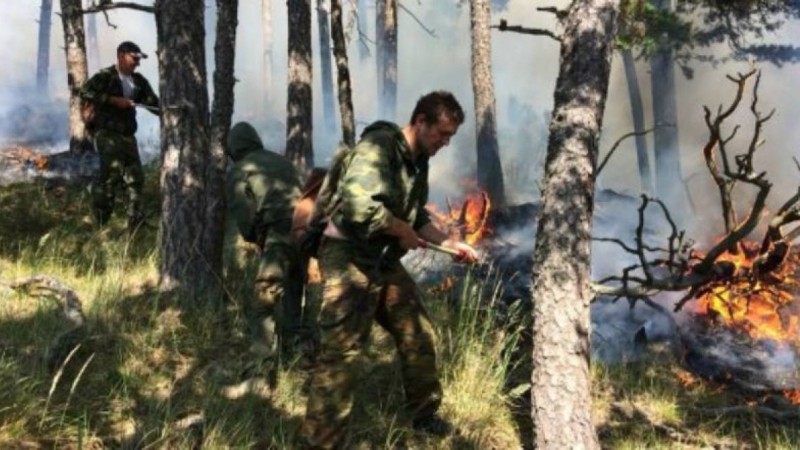 Бурабай отқа оранды: Тілсіз жауды ауздықтау оңайға түспей жатыр
Тұмса табиғаттың 1 гектарын өрт жалмады