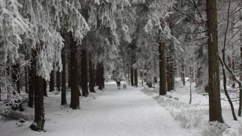 Қазақстанның оңтүстік және шығыс аймақтарында қатты қар жауады
