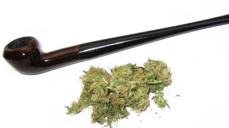 Жамбыл облысының полиция қызметкерлері ірі көлемде есірткі сақтаған облыс тұрғынын ұстады 