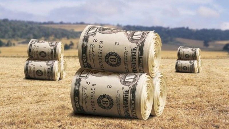 Өңдеу және агро-сала кәсіпкерлеріне 11%-бен 600 млрд теңге бөлінеді – Д.Ақышев