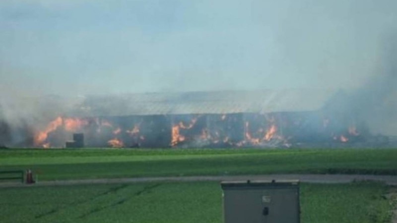 Құс фабрикасында 100 мың тауық өртеніп кеткен