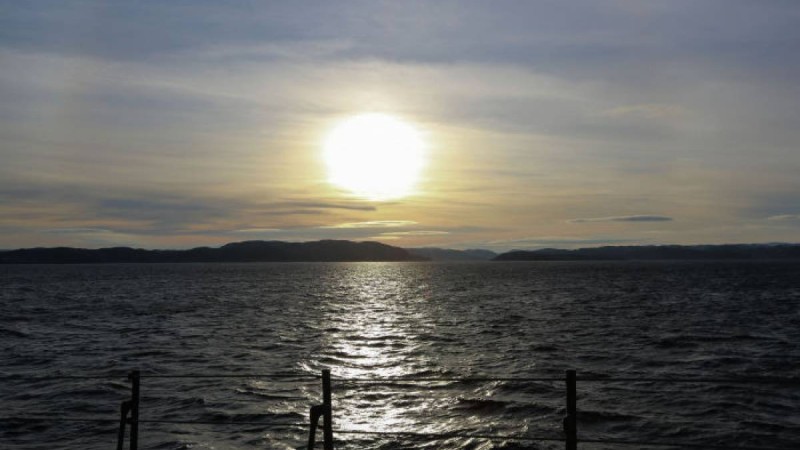 Суға шомылған ер адамды бактериялар жеп қойды