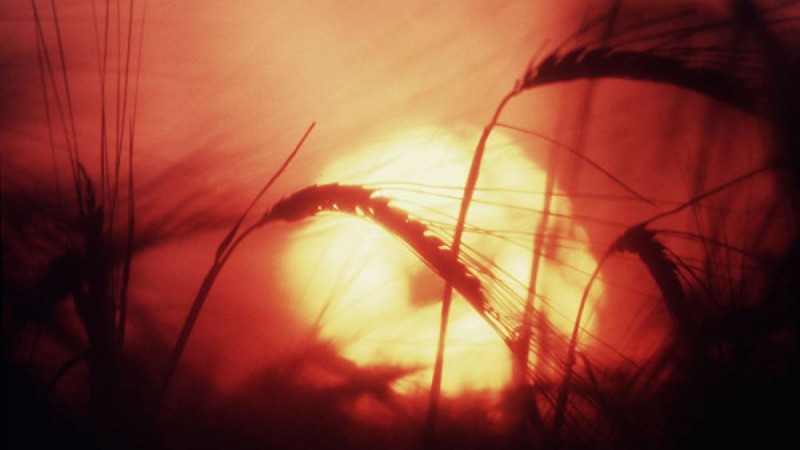 Синоптиктер тарихта болмаған ыстық келуі мүмкін екенін ескертті