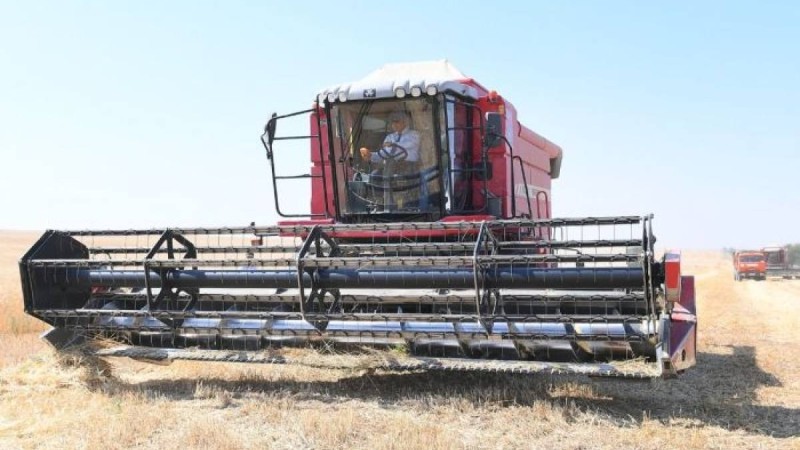 Түркістан облысы әкімі Өмірзақ Шөкеев астық жинауға қатысты