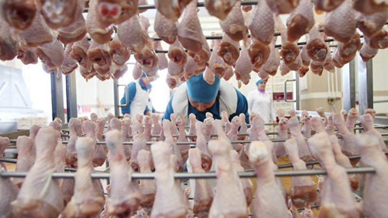 Нығматулин Қазақстанның ет пен сүтті шетелден импорттап отырғанына қапаланды