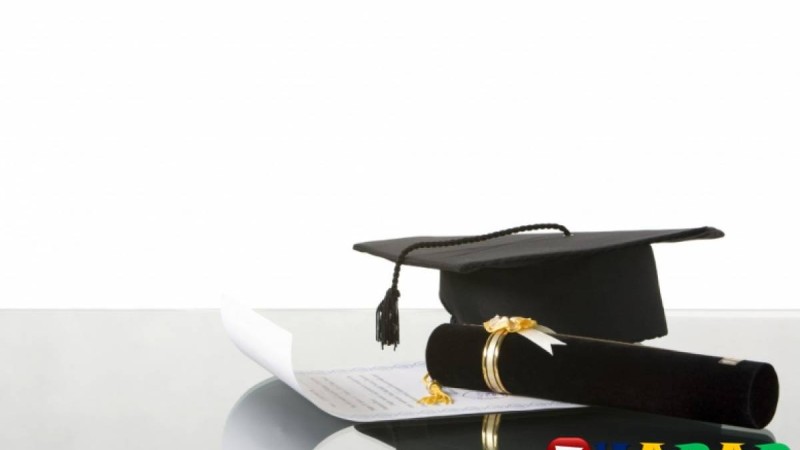 Дипломдық жұмыс: Құқықтану | АКЦИОНЕРЛIК ҚОҒАМНЫҢ ТИIМДI ҰЙЫМДЫҚ ҚҰҚЫҚТЫҚ НЫСАНЫ