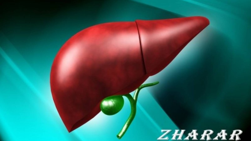 Бауырды тазартып, артық майлардан арылтатын 3 сусын