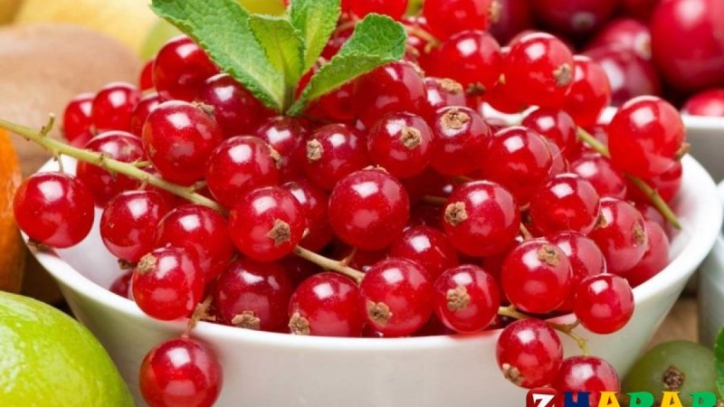 Қазақ тілінен сабақ жоспары: Жемістер мен көкөністер– оқылым №1 (1 сынып, 7 бөлім )