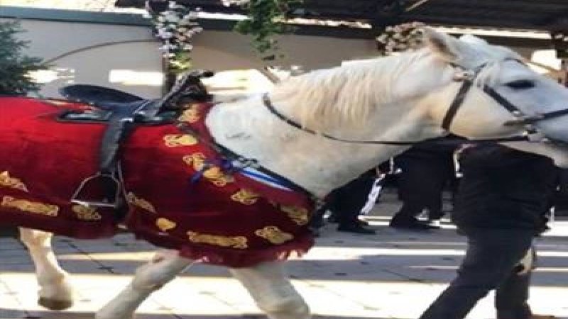 Байлығы тасыған қазақтардың ұлан-асыр тойы жұрттың жағасын ұстатты