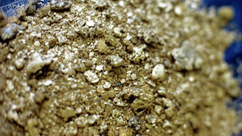 Австралияда ер адам 1,4 килограмм саф алтын тауып алды