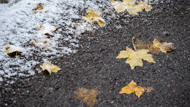 24 қыркүйекке ауа райы болжамы жарияланды