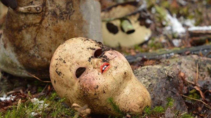 Оралда сәбиін зиратқа тастаған әйел иттердің "арқасында" жазадан құтылып кетті