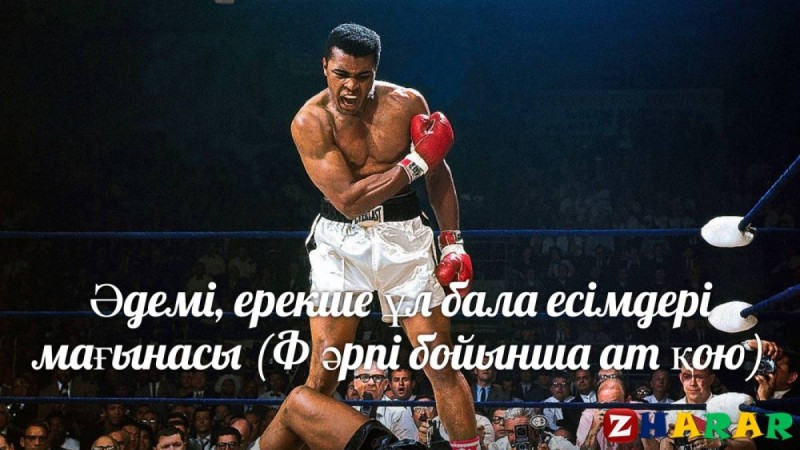 Әдемі, ерекше ұл бала есімдері мағынасы (Ф әрпі бойынша ат қою)