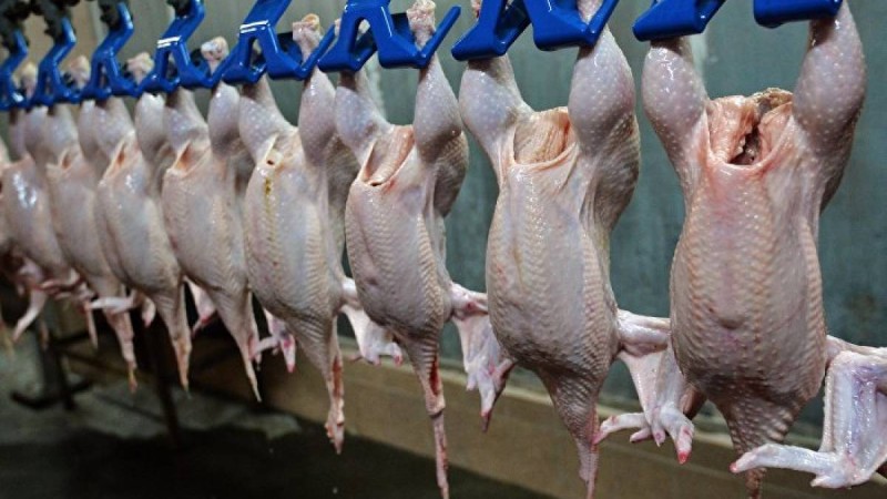 Қазақстанға Ресейден құс еті мен жұмыртқа әкелуге рұқсат етілді