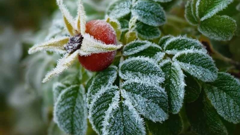 Үсік жүріп, қар жауады: Қазақстанның бірқатар облысында дауылды ескерту жарияланды
                                Кей жерлерде нөсер жауын жауып, дауыл болады