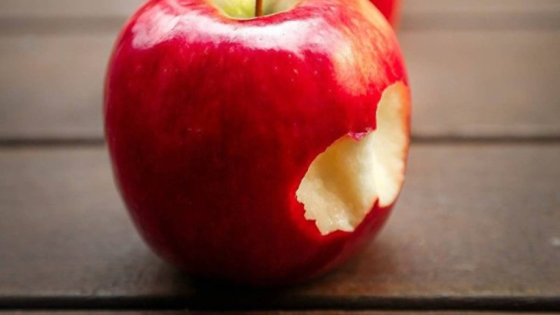 Ксения Рязанцева жарты жыл бойы баласына жемістен басқа тамақ бермейді