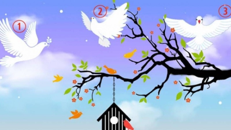 Психологиялық тест: Көгершіннің бірін таңдап, мінезіңіз туралы сыр біліңіз