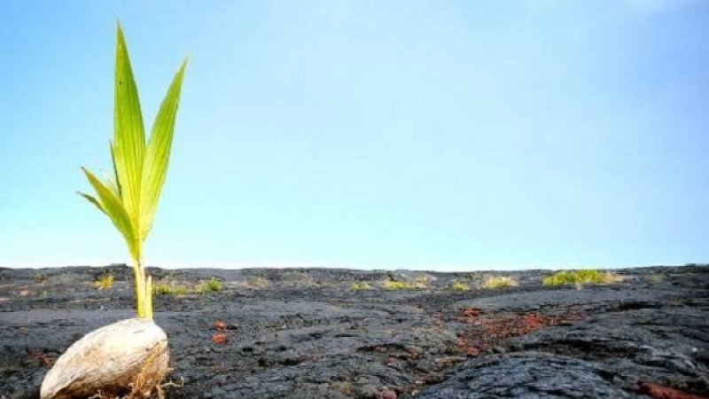 Кемеңгерлердің ақыл қалтасы