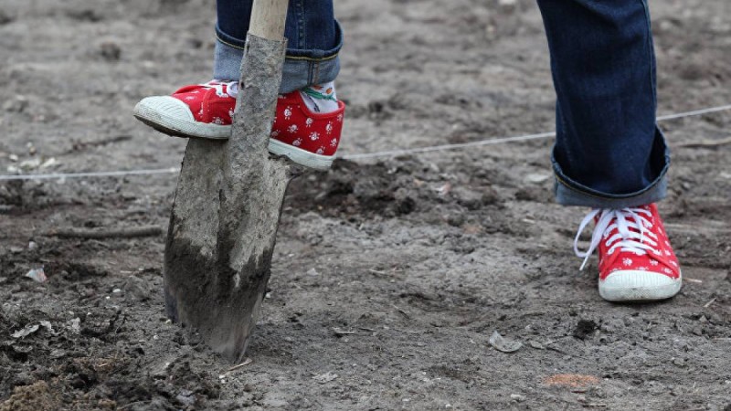 Ит тірідей көмілген нәрестені құтқарып қалды