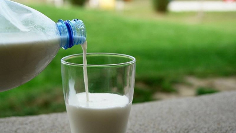 Сүт адам денсаулығына қауіп төндірмеу үшін не істеу керек?