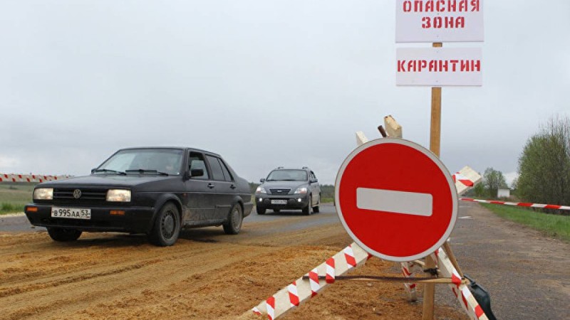 Жамбыл облысында сібір жарасына байланысты неге карантин жарияланбайды
