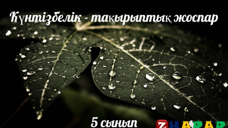 Күнтізбелік - тақырыптық жоспар жинағы
		Күнтізбелік - тақырыптық жоспар: Көркем еңбек [қыздар] (5 сынып)