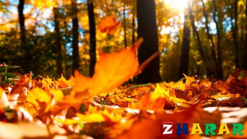 Қазақ тілінен сабақ жоспары: Күз мезгілі (3 сынып, II тоқсан, 3 бөлім)