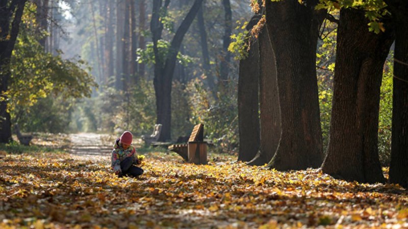 Ауа райы болжамы: 15 қыркүйек