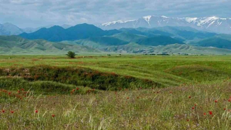Президенттің баспасөз хатшысы: Қытай Қазақстанның жеріне көз тігіп отырған жоқ
Берік Уәли Қытайдың елімізде өз идеологиясын, саясатын жүргізу туралы пиғылы жоқ екенін айтты