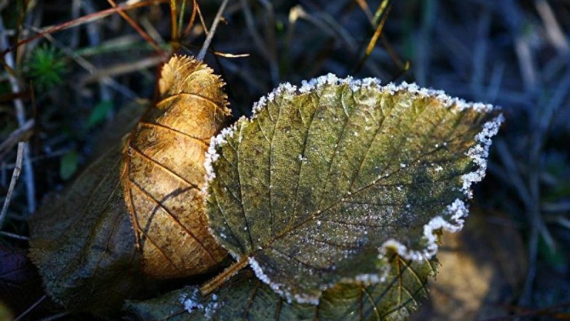 үш күнге ауа райы болжамы жарияланды