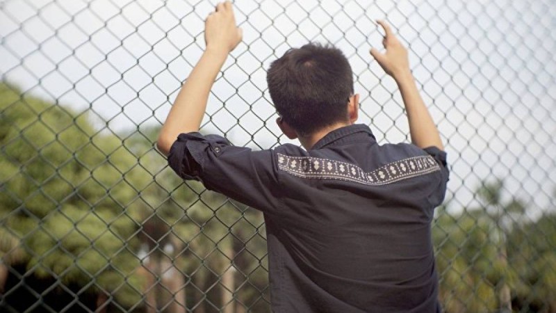 вице-министр павлодарлық баланың қылмысы туралы айтты