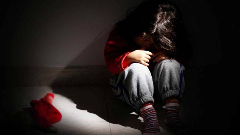 "Өлім жазасына кесу керек": Сенат депутаттары әйелдер мен балалардың зорлығына қатысты пікір білдірді (видео) - Қазақстан жаңалықтары