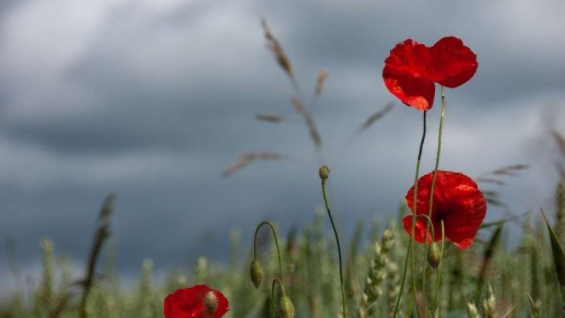 Алматы мен Жамбыл облыстарының шекарасы өзгерді