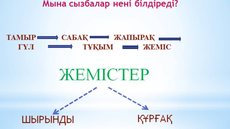 Презентация (слайд): ЖЕМІСТЕР
