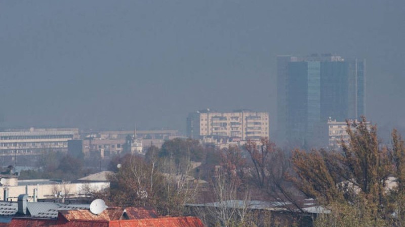 Бас онколог қай облыстардың тұрғындары қатерлі ісікке жиі шалдығатынын айтты  