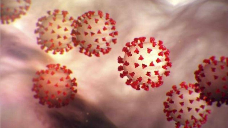 Қандай қан тобы COVID-19 инфекциясына қарсы тұра алатыны белгілі болды - Қазақстан жаңалықтары