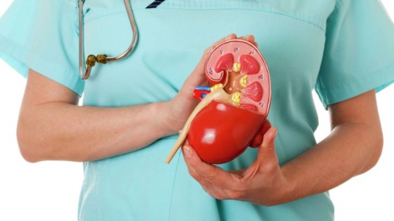 Украиналықтар Қазақстанда органдарын заңсыз сатқан